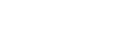 Finnish Government