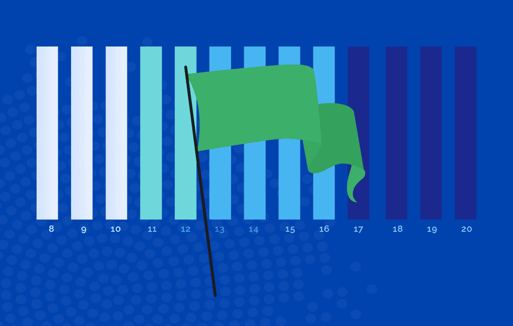 LEI Conformity Flag