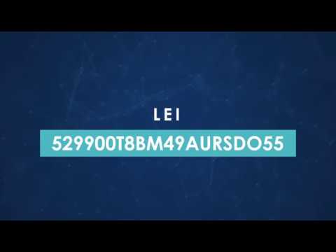 Introducing RapidLEI video